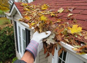 gutter-cleaning-services-in-bellevue